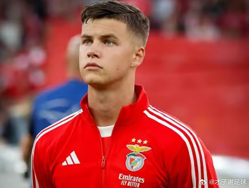 据葡萄牙《记录报》报道，曼联计划在今夏的转会窗口为效力于本菲卡的瑞典左后卫萨穆埃