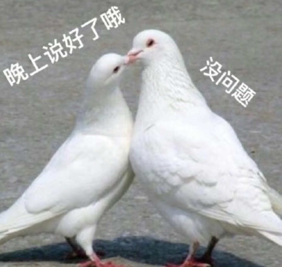 鸽一下[笑cry]领克10 EM-P的上市价格新预测明天发不要打我，今天事情太坤