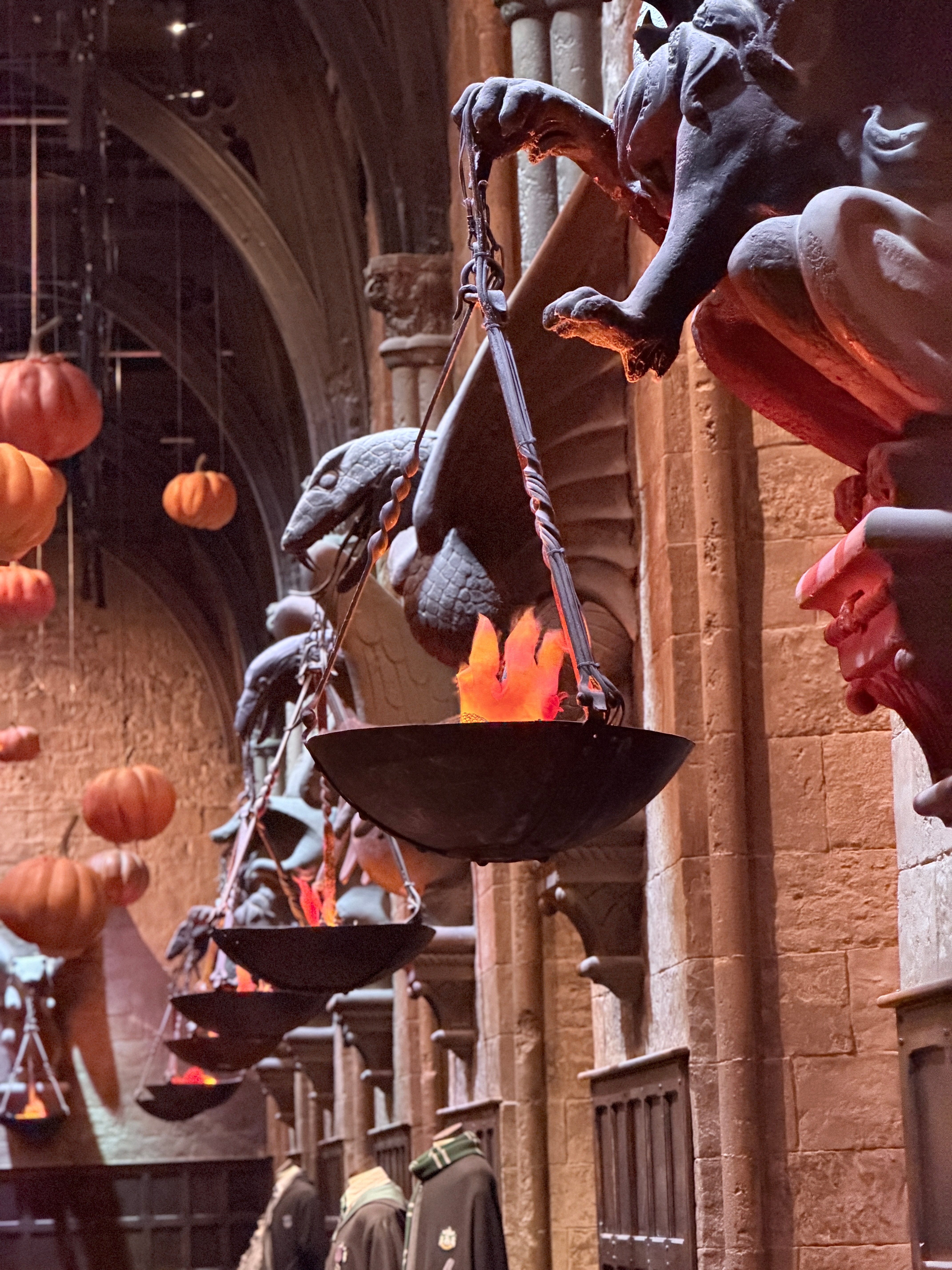 Harry Potter 迷前来报道~🧙‍♀️🧙‍♀️  ​​​