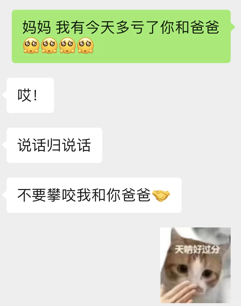 妈妈：还你妈生抽象🤝
