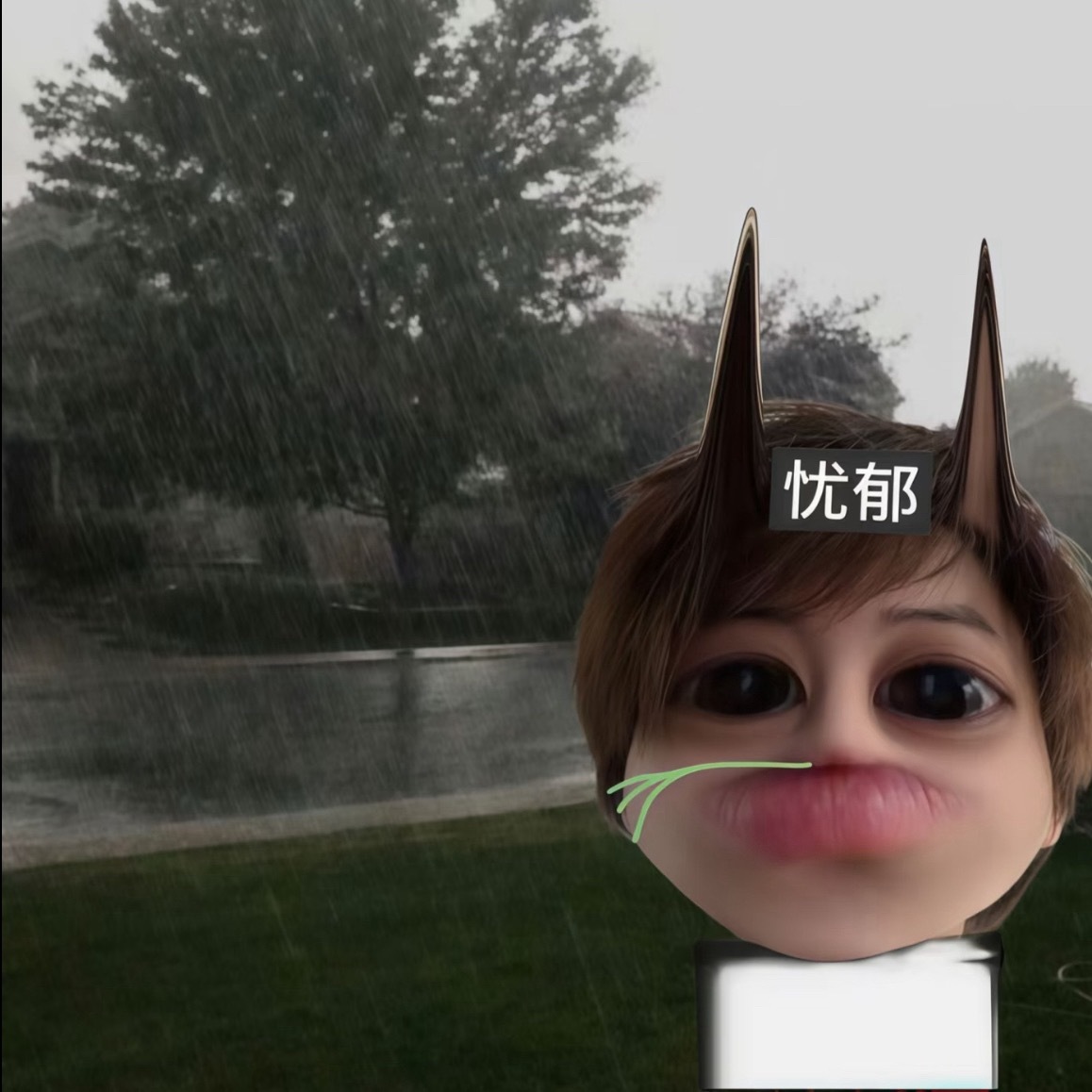 好想张子墨 