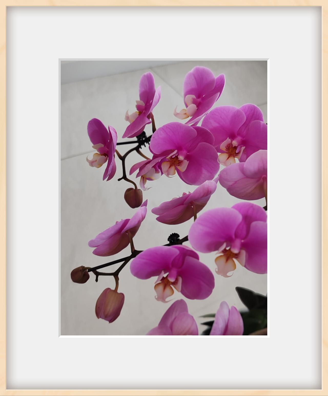 是年龄重要还是心态重要心态重要。细节决定成败，性格决定命运。人衰莫大于心死。心就