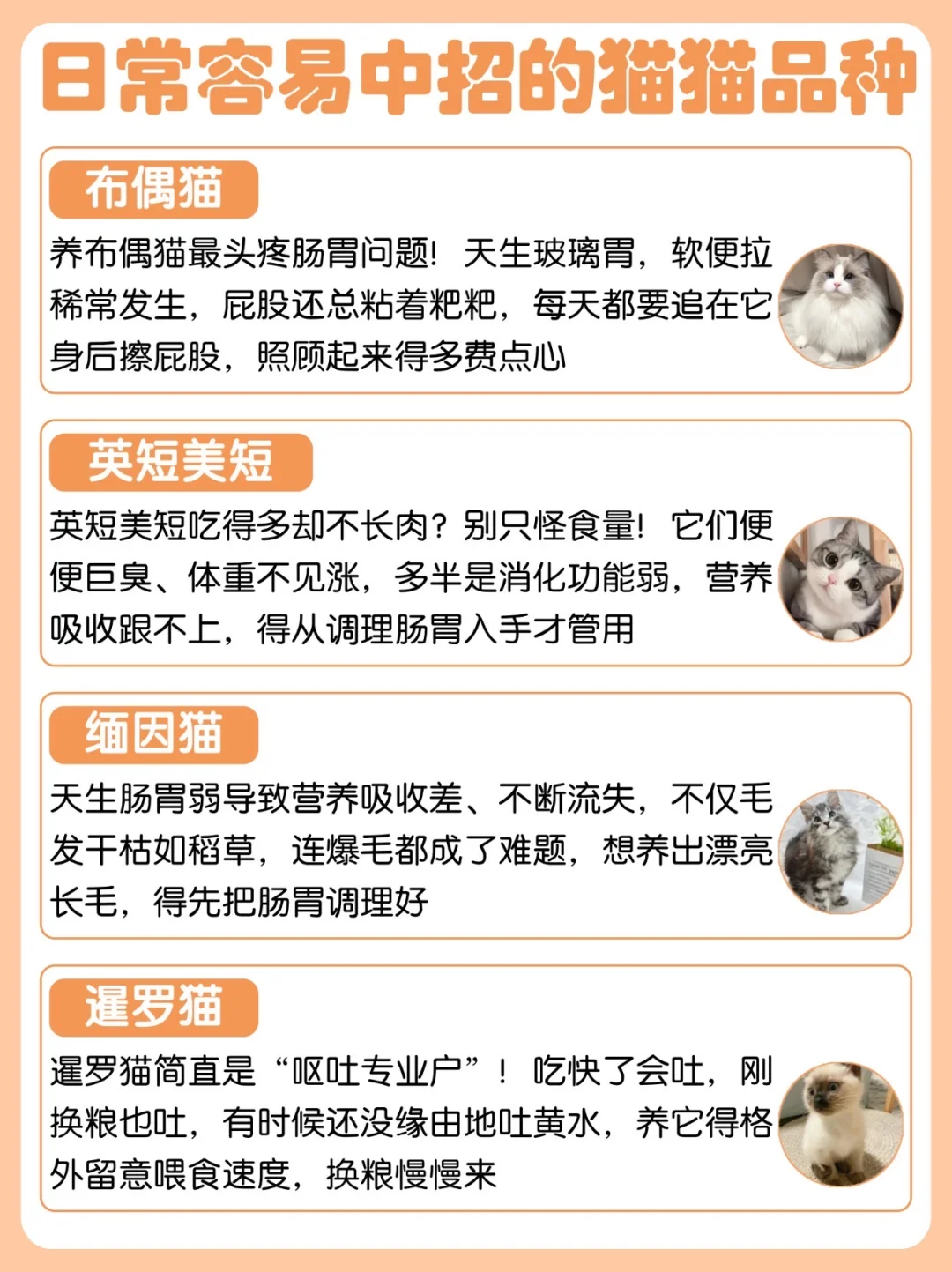 猫届“玻璃胃”图鉴上线！你家猫猫中招没？