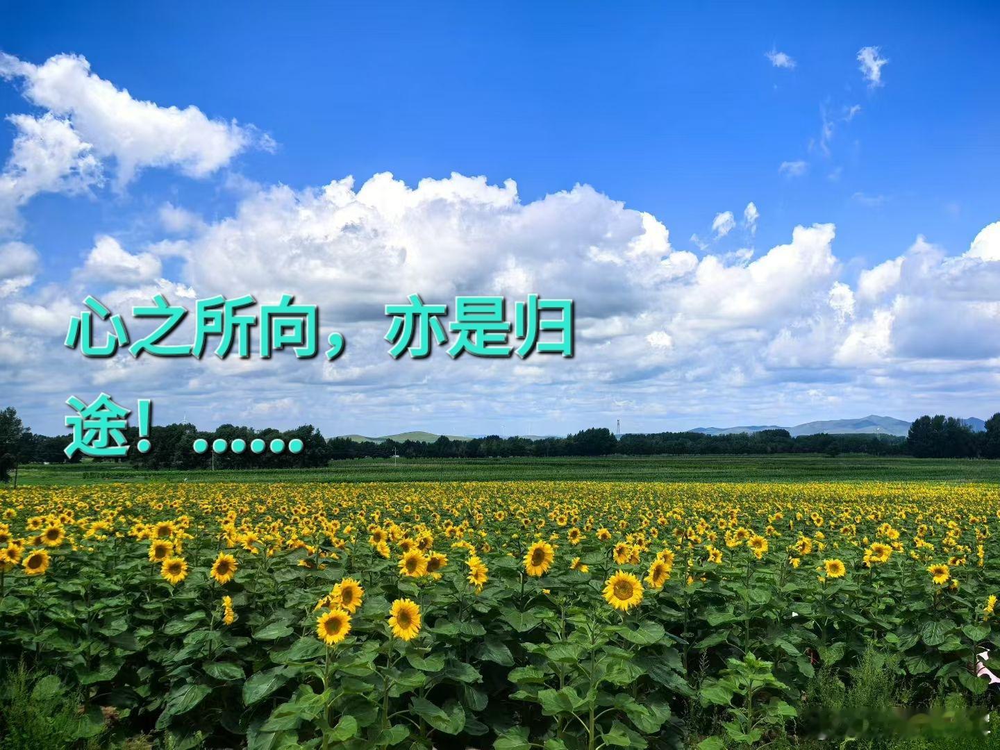 中药不传之秘：16味中药的不同剂量应用诀窍！1、生杜仲：30g以上治腰痛奇效，不