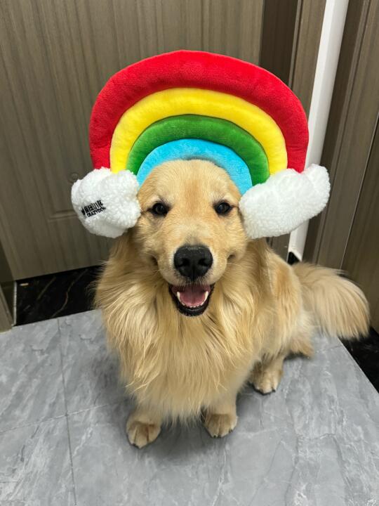 泥嚎人 给彩虹色的我拍张照片🌈