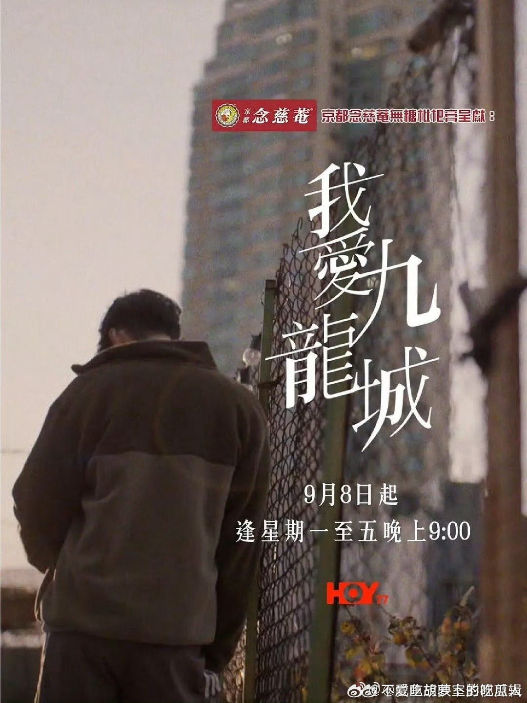 今日新剧上线 香港HOY TV首部原创剧我爱九龙城 今日上线，共10集。主演：陈