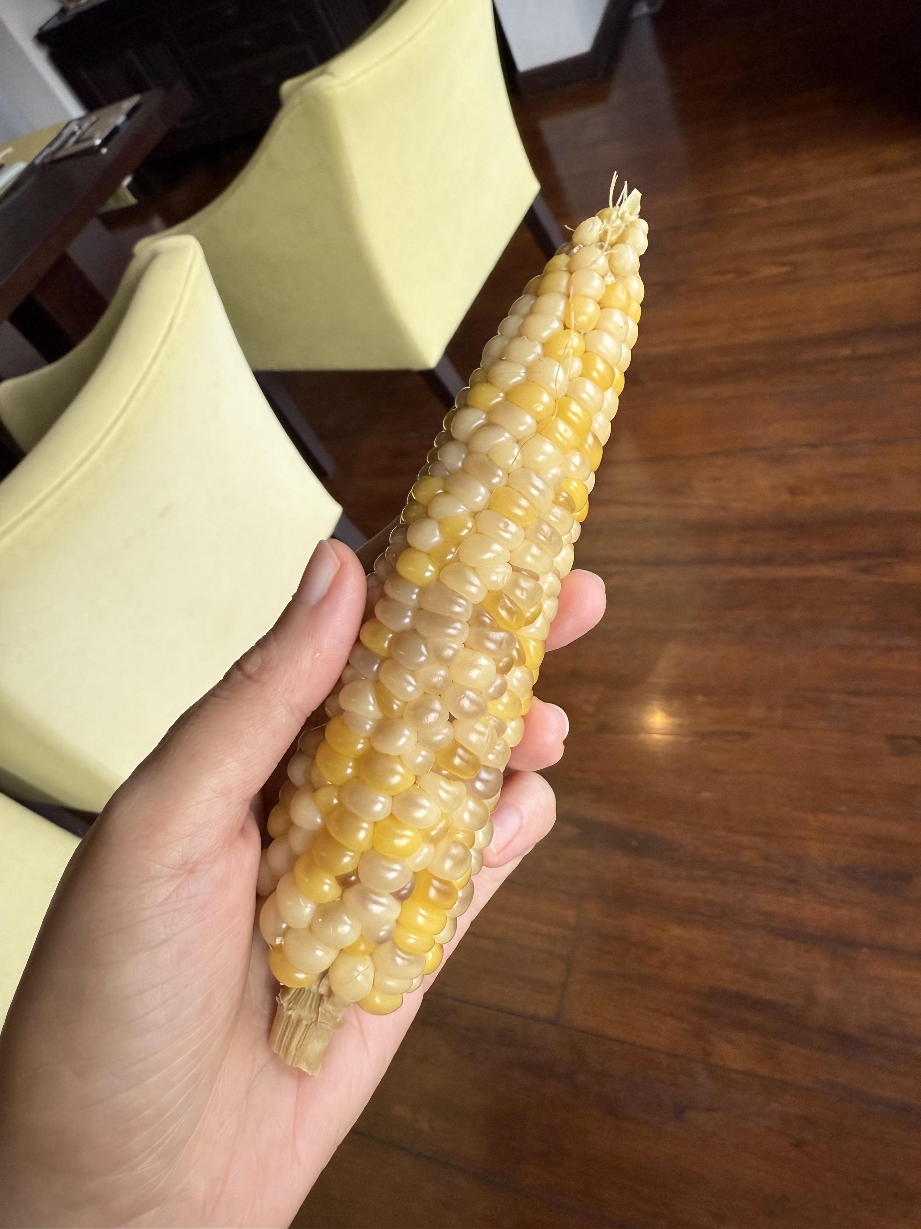回来三天，收到家门口老奶奶自己种的玉米，猪妹同学妈妈种的西红柿，另一个同学妈妈做