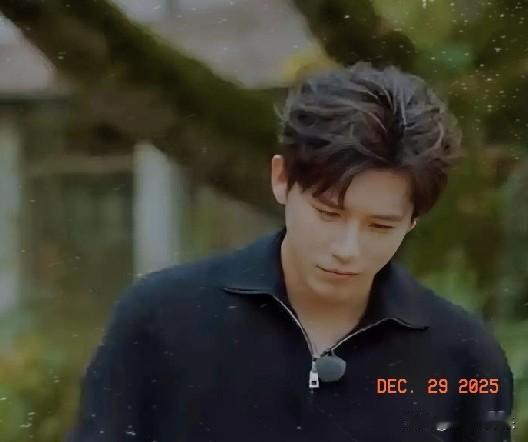 星途璀璨，未来可期——致王安宇的2026新程寄语

从新疆策马奔腾的飒爽，到黄河