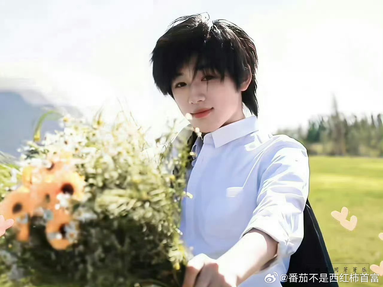 宋亚轩 一年又一年，梦回少年与花宋亚轩海胆头