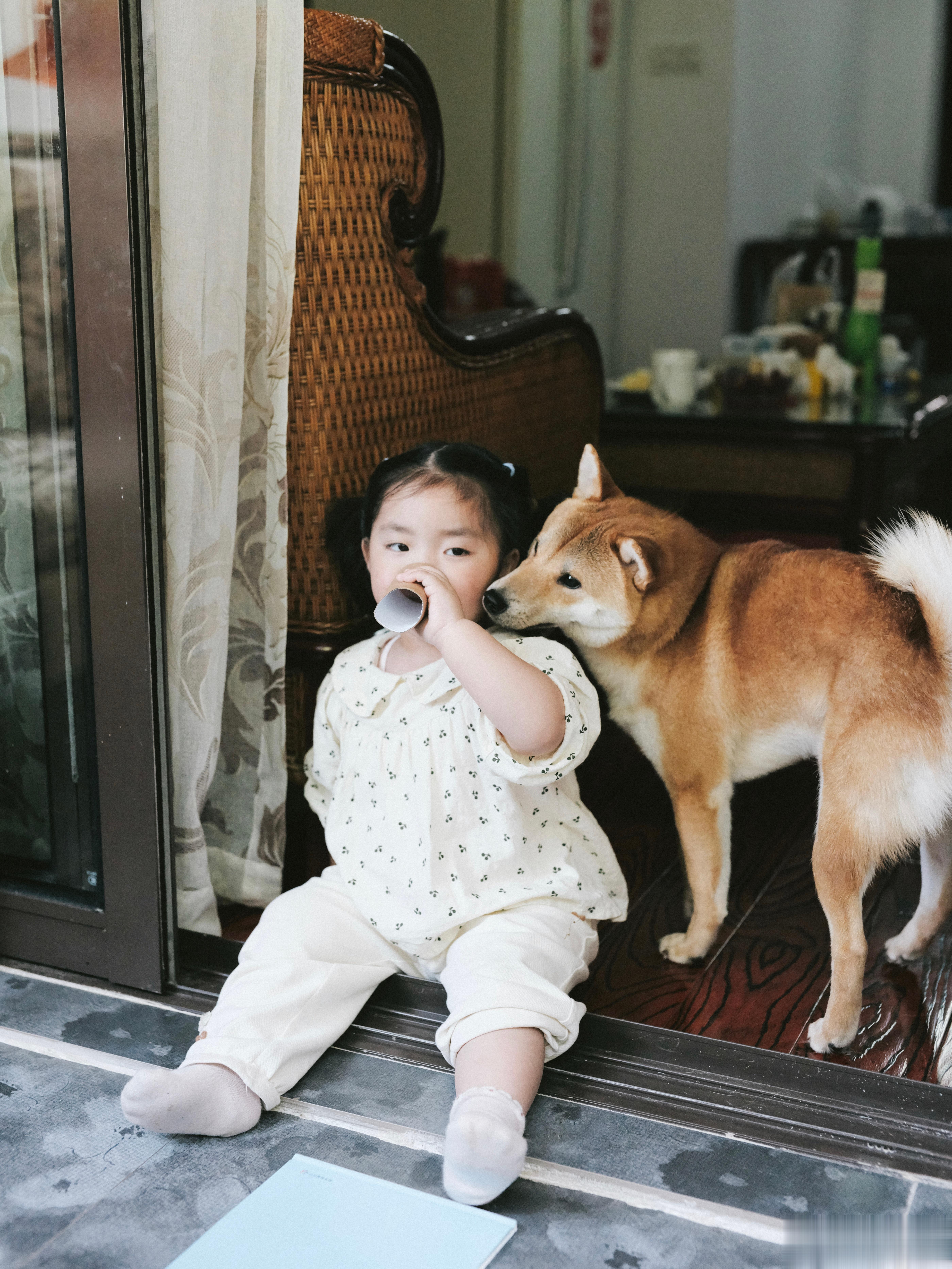 家庭记录｜小安回老家的日子✨家有小朋友和狗狗 从早到晚都是热闹的数码拍的哈📷 