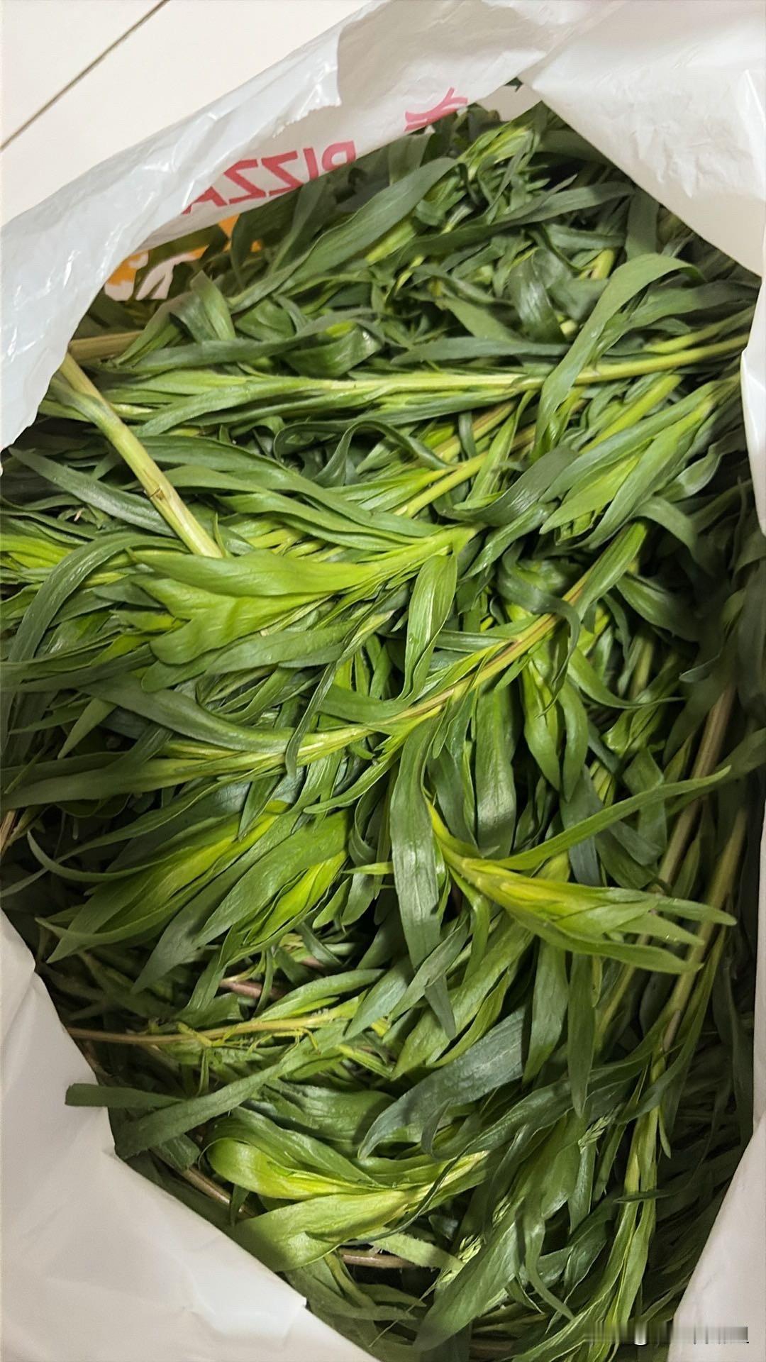 我是新疆人，在新疆生活了快60年。

对于椒蒿我是最近十多年才真真开始吃。

有