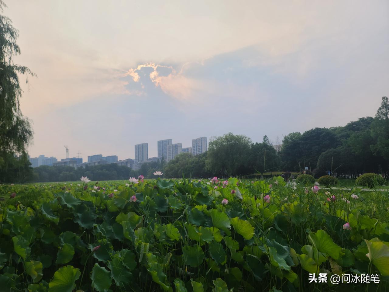 什么叫端正金饭碗还饿肚子？古巴人民就是，富沃的土地种不出粮食是古巴人民懒惰还是卡