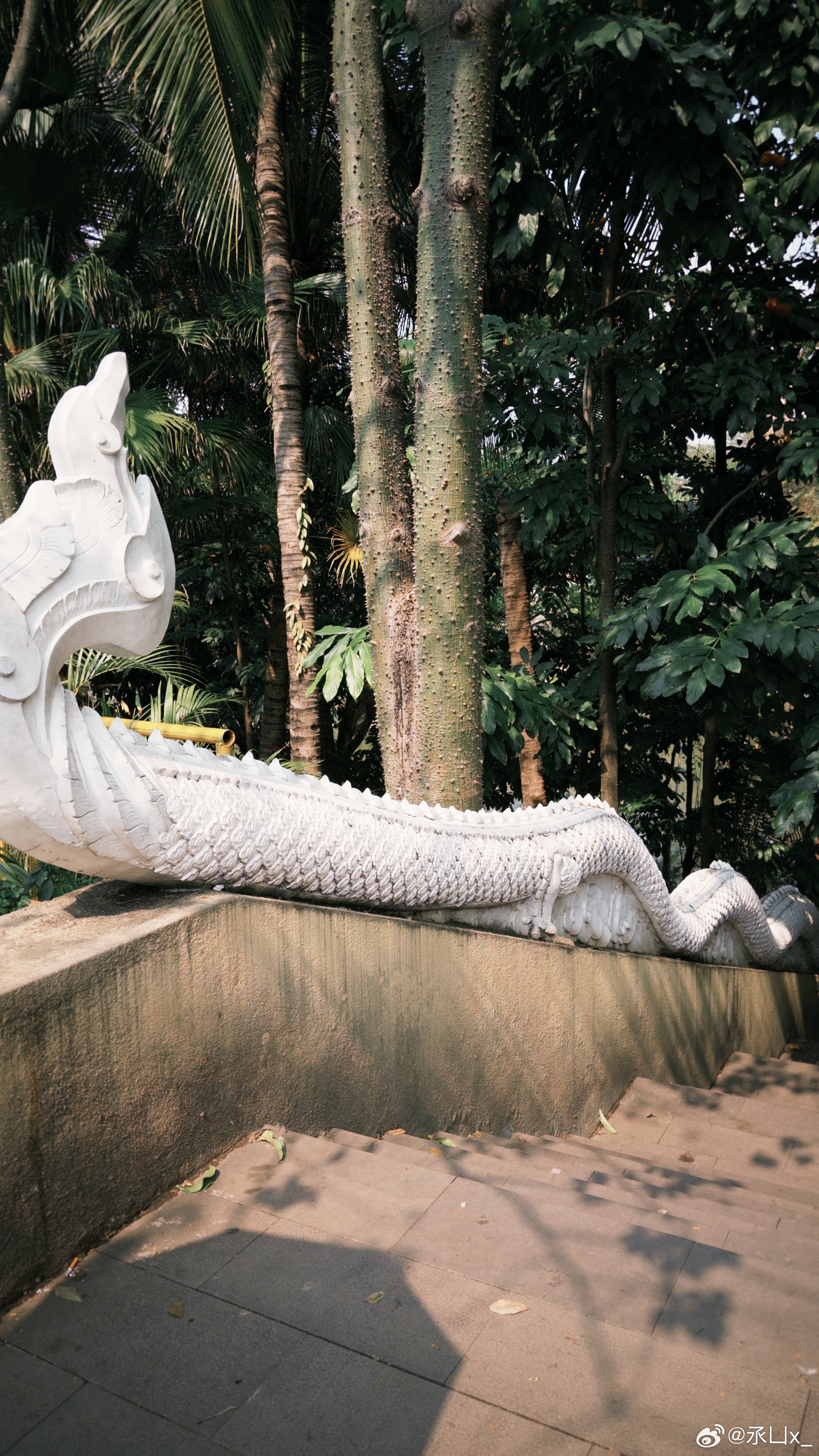 分享图片 景洪·大吉总佛寺