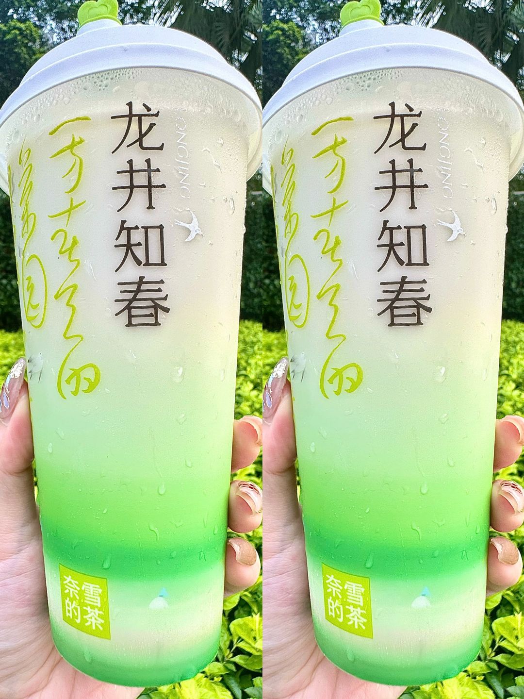 连奶茶都用大师茶叶😭.….龙井春茶没有对手！