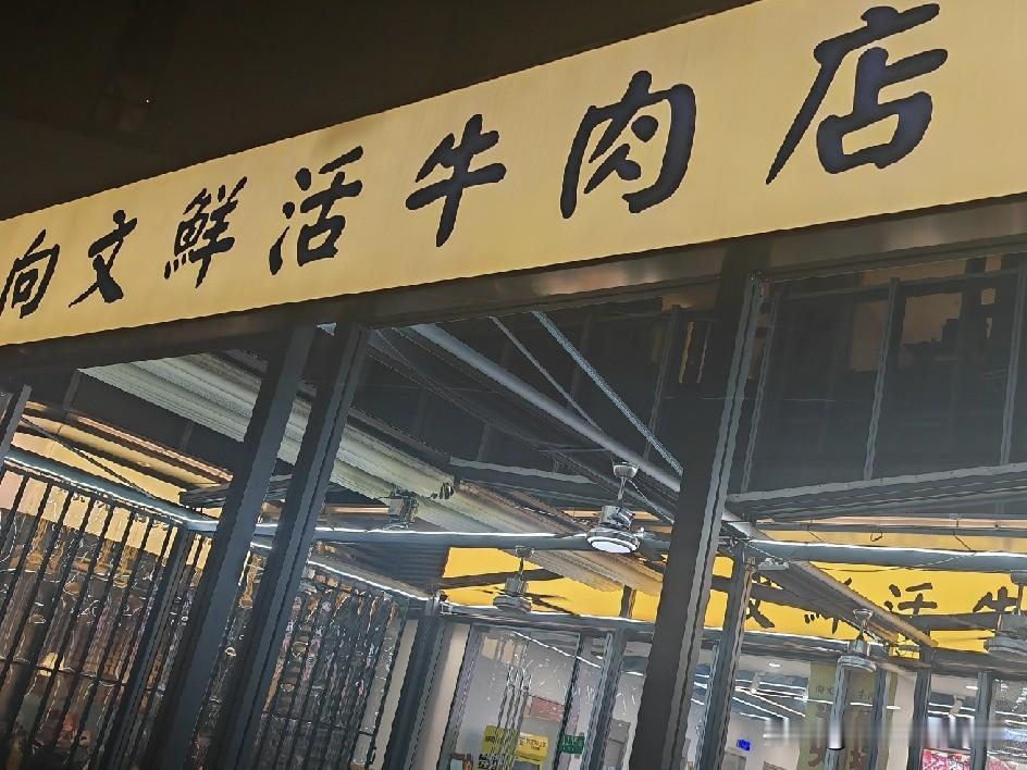 昨天是特殊的日子，儿媳没有让我做晚饭，我们四口人出去吃的牛肉火锅。

这家牛肉火