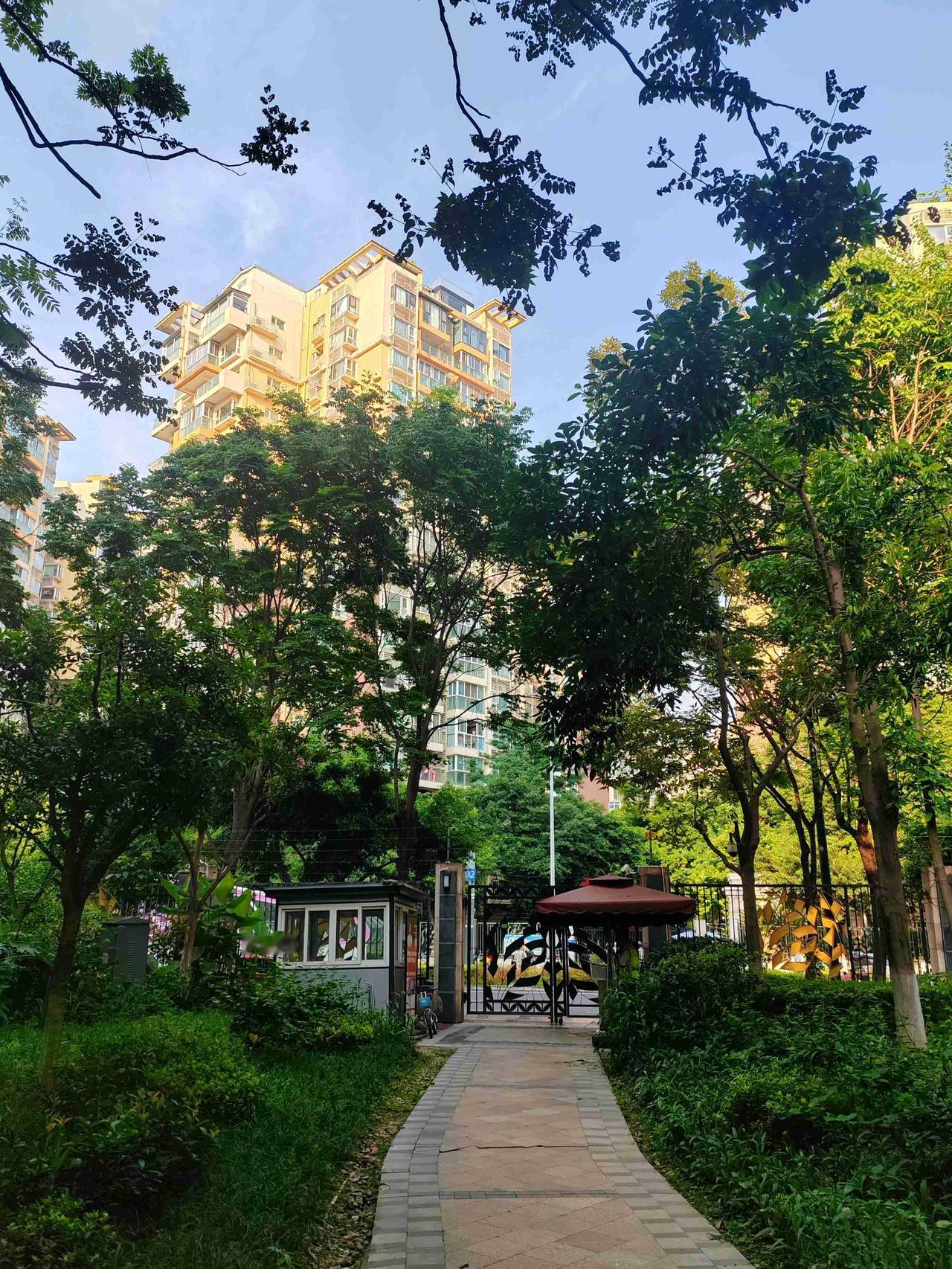 我的今日状态：😁轻松愉快
我这里的天气：☀️晴天