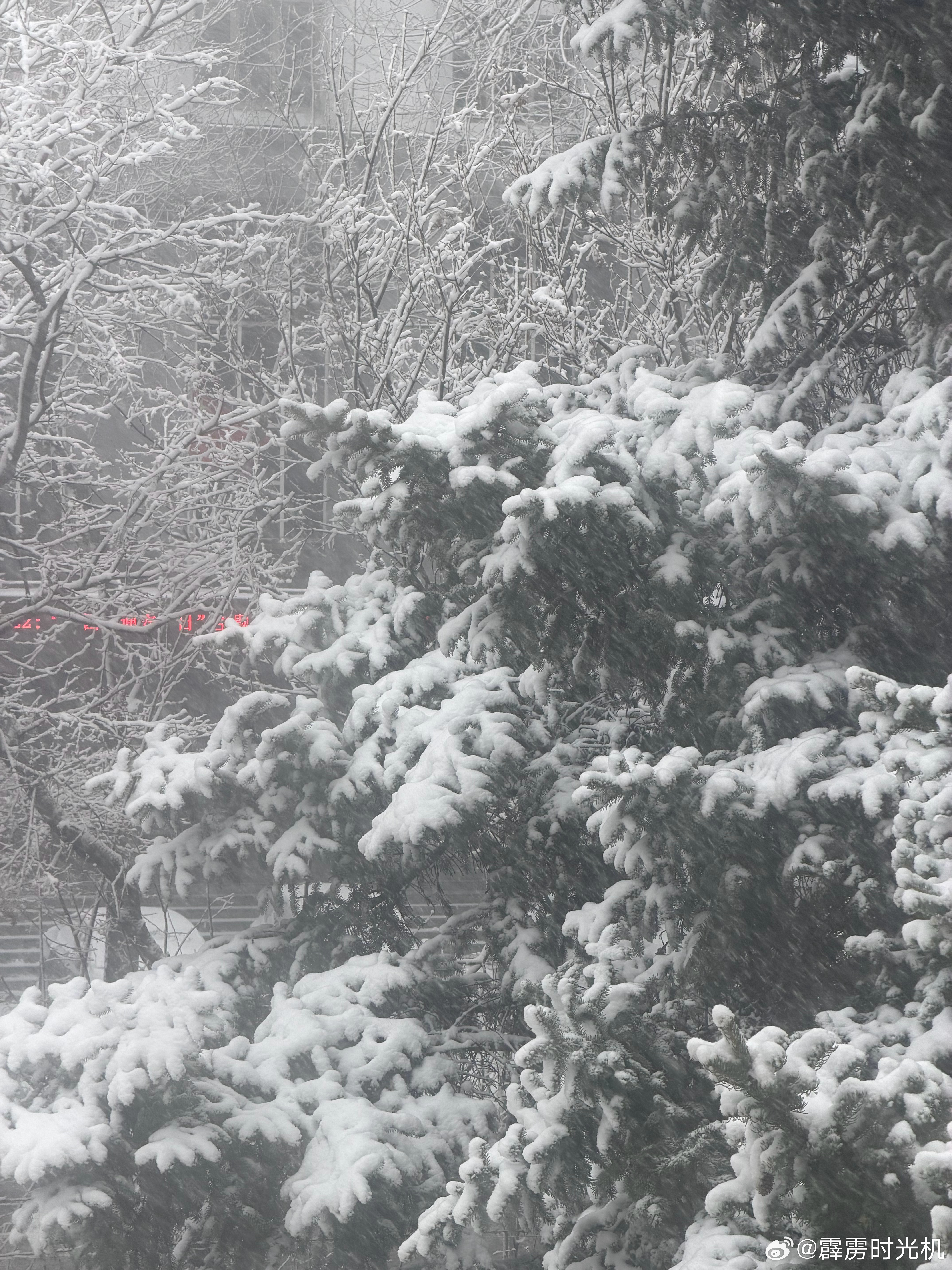 雪是越下越大了