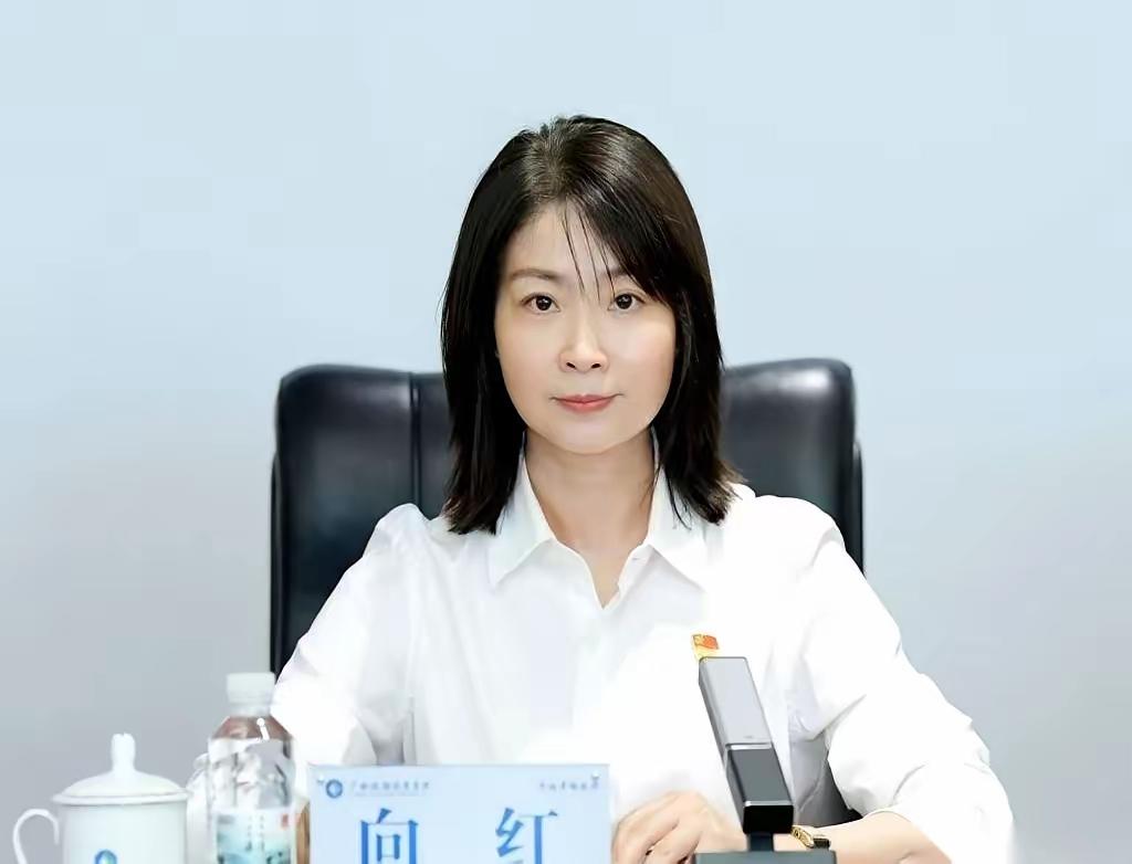 最近广西体坛这波风声，属实把球迷的期待值直接拉满了。
广西文体头部国企广旅集团直