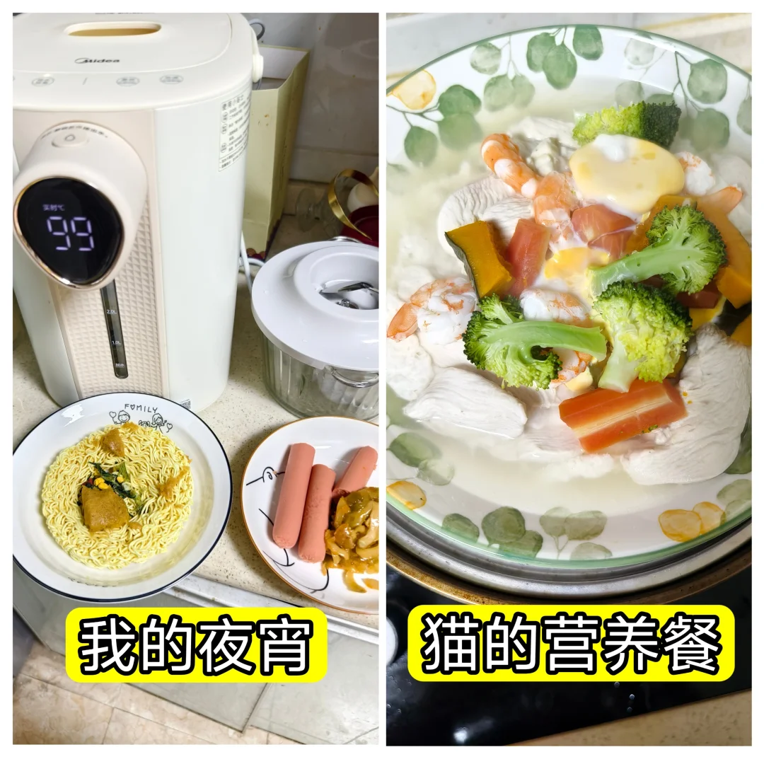 喵喵有个摄影师的妈妈怎样的感受