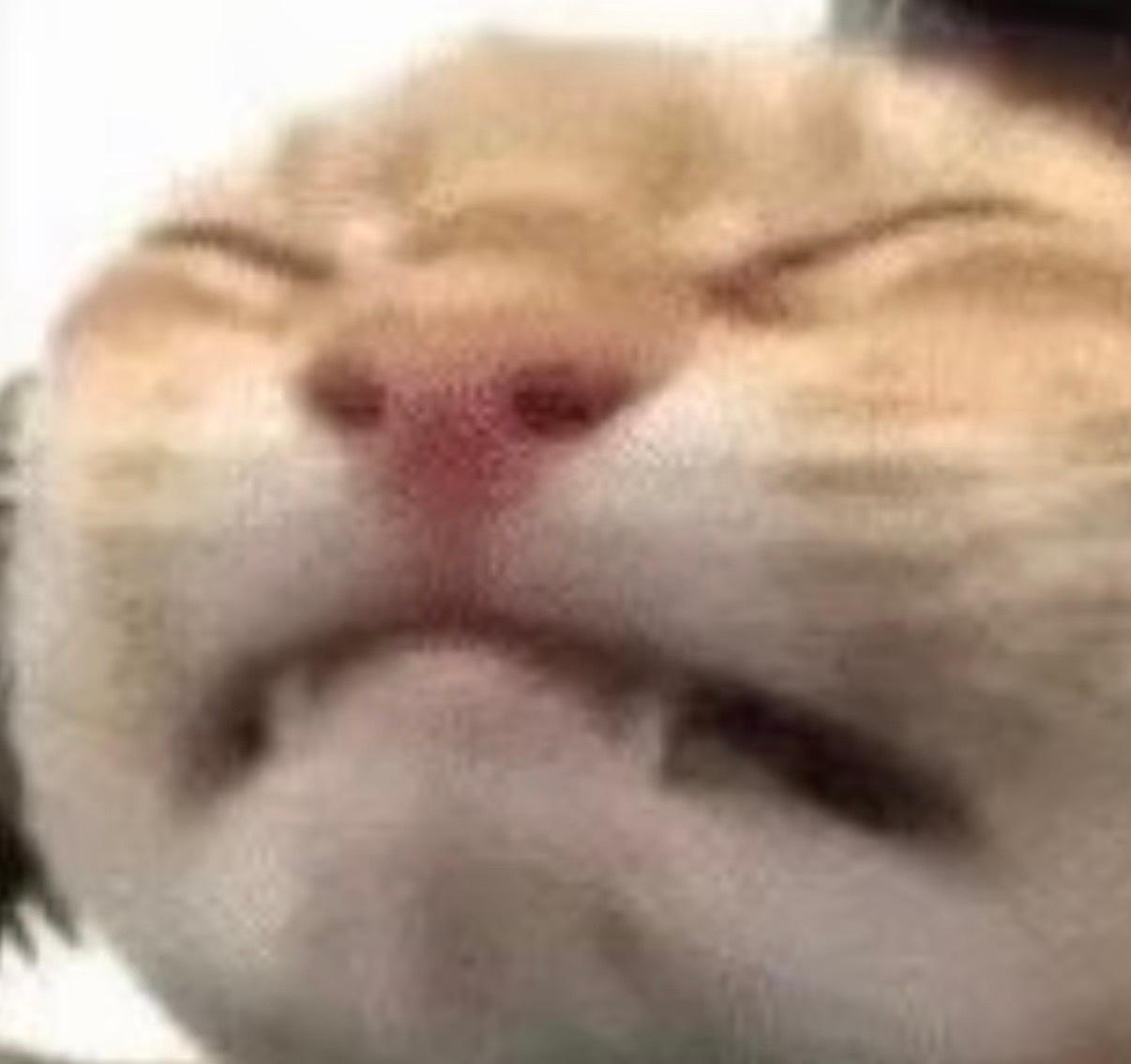 谁敢信 现在在看美队3 ​​​