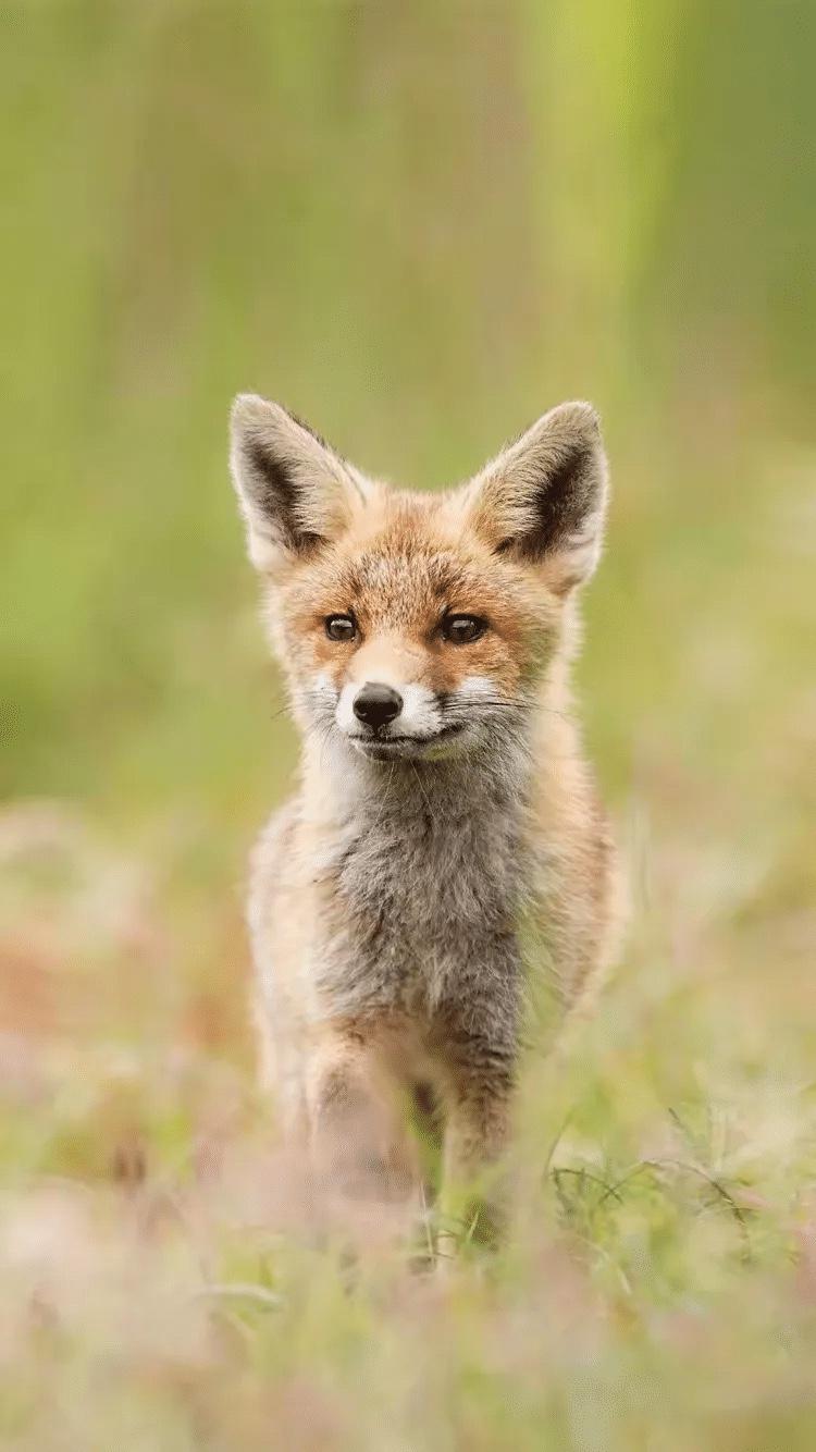 别小瞧任何人，风水轮流转是真的

王志文有句人间清醒的话：哪怕你本事再大，别人不