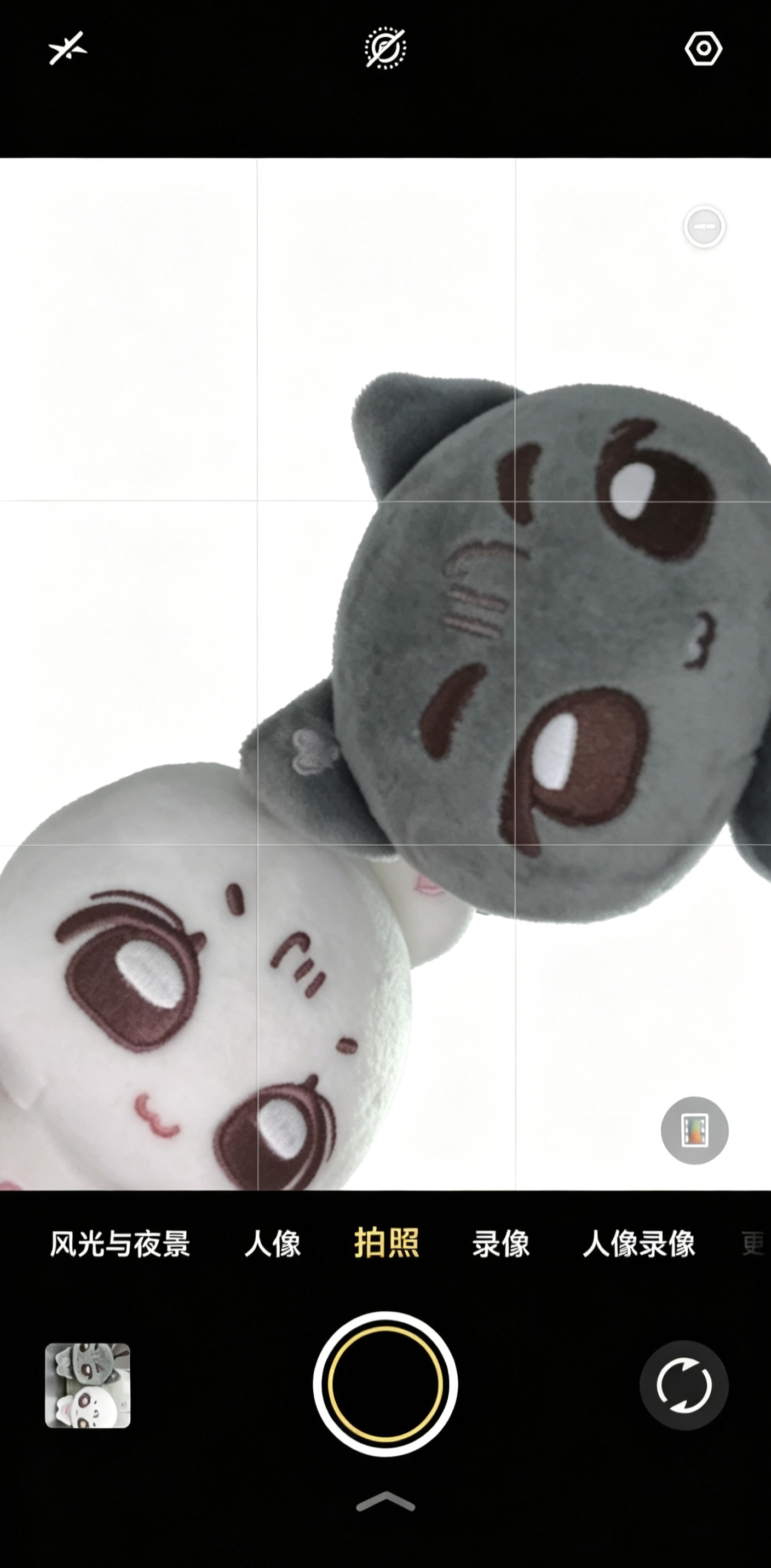 肥肥 ​​​
