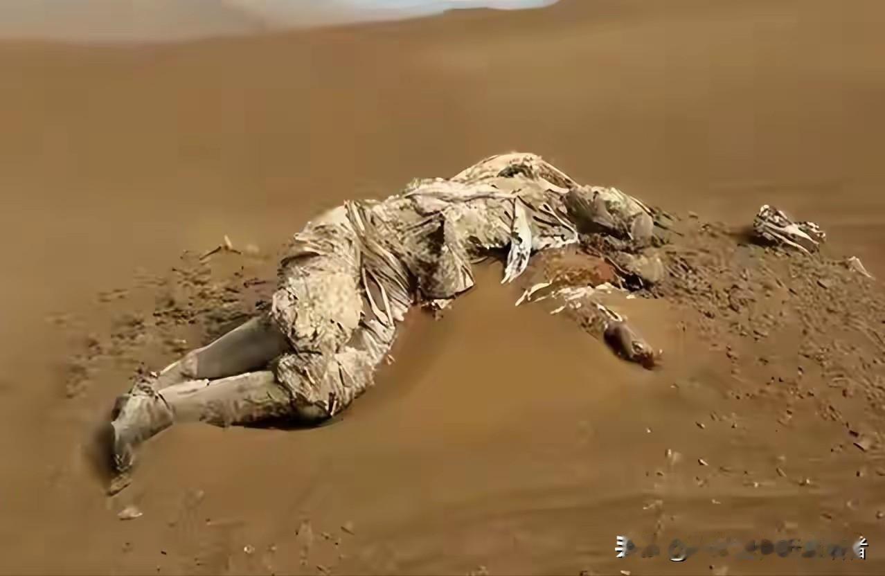 罗布泊惊现干尸，警方破案后大惊：竟是失踪58年的功臣！

2016年深秋，青海茫