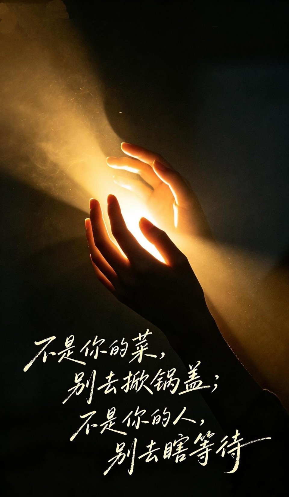 缘有深浅，命有取舍。不属于你的，再追逐也是徒劳。人生最好的智慧，是认清边界，不攀