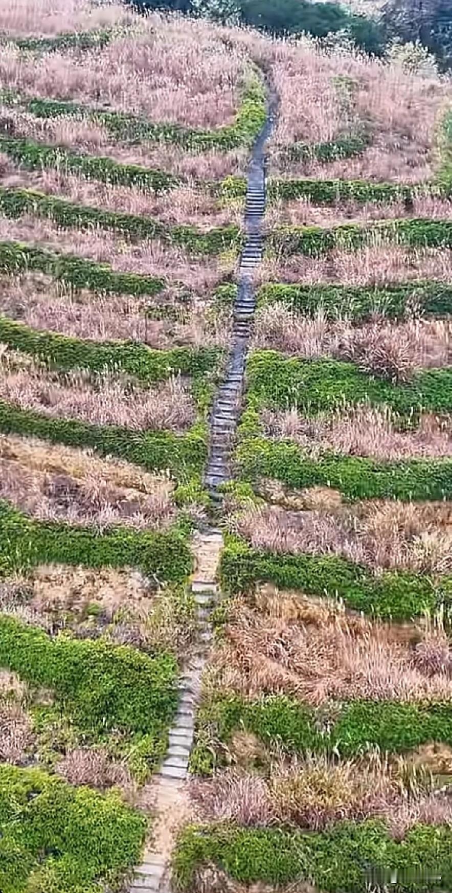 高标准农田就是这样的，不然算不上高标准[呲牙][呲牙][呲牙]，专家可以来大丰收