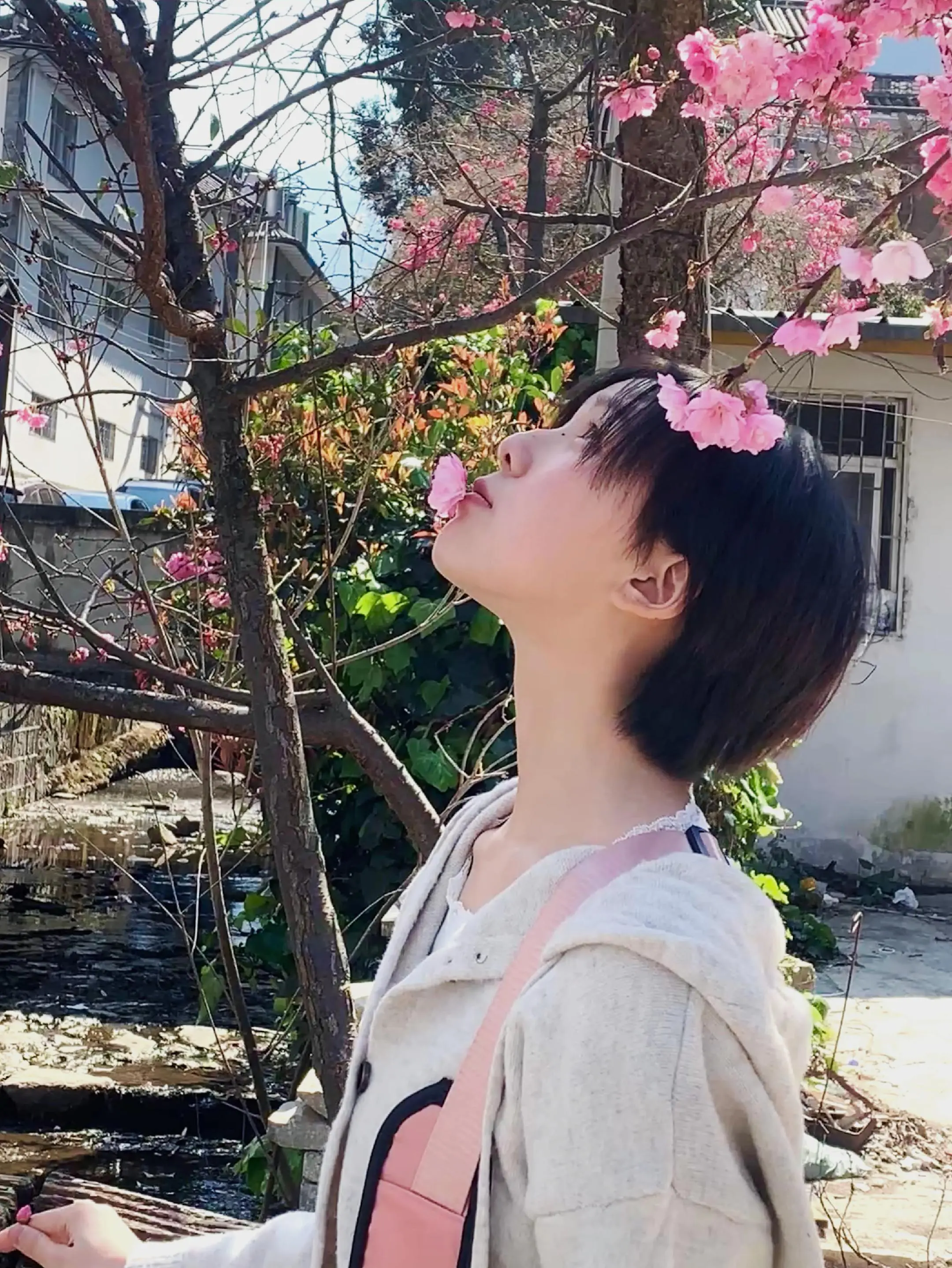 在一个晴天