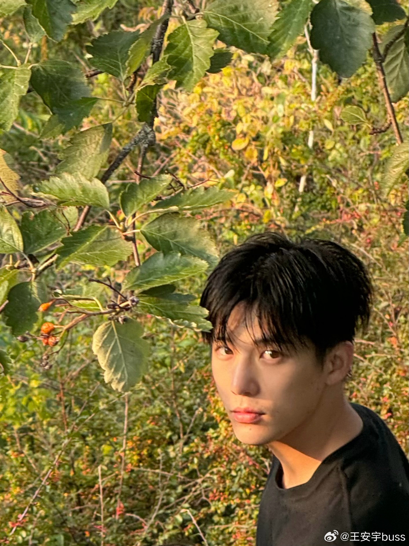 又让王安宇装到了  哈哈哈不愧是王安宇好适合上综艺 