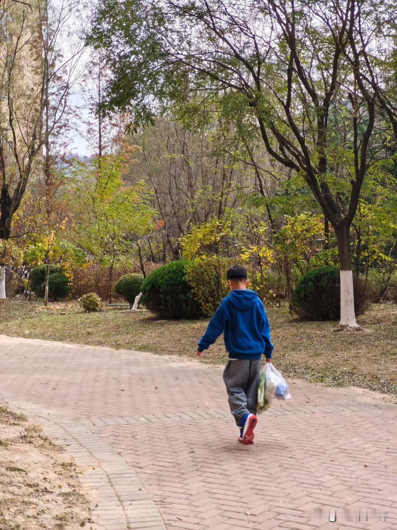 我当了10年老师，但我孩子从学校退学了
我大学学的师范专业，当时一心想当老师，对