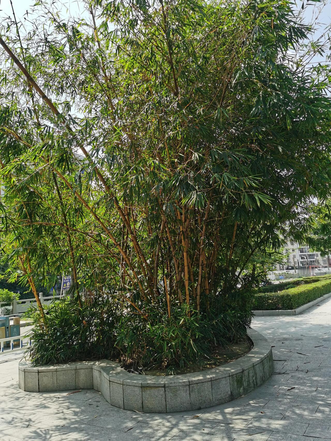 有人前半生坎坷，后半生幸福；
有人前半生幸福，后半生坎坷；
有人一生都在坎坎坷坷