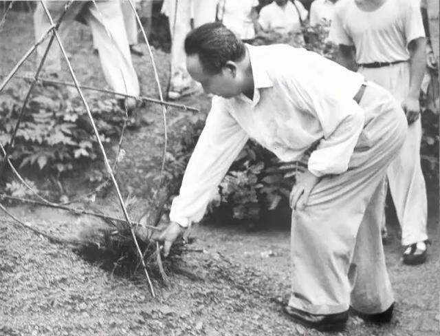 1959年，毛主席回韶山后赴长沙，与亲友团聚。一张合影中，杨开慧的哥哥杨开智、嫂