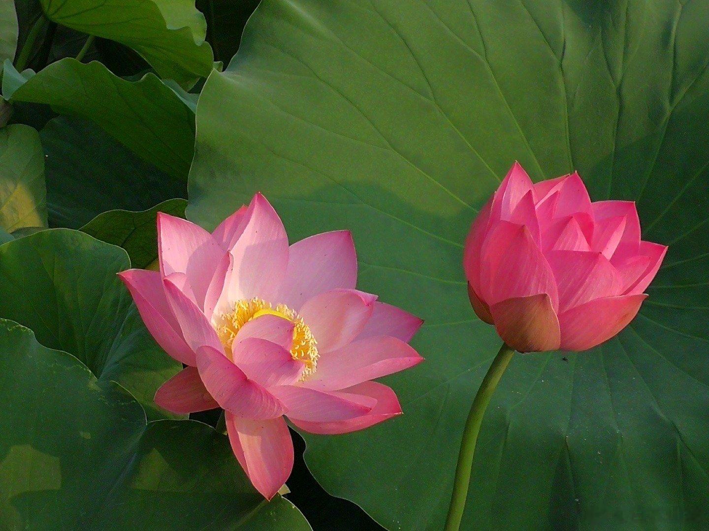 应大家要求，来讲一讲我和同居三年同事的往事吧。当一个人开始回忆往事的时候，已经开