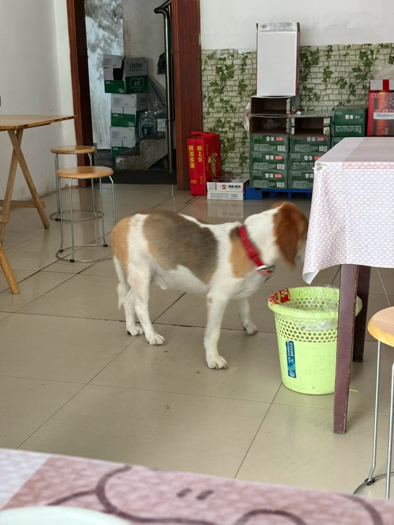 比格钱打暑假工 