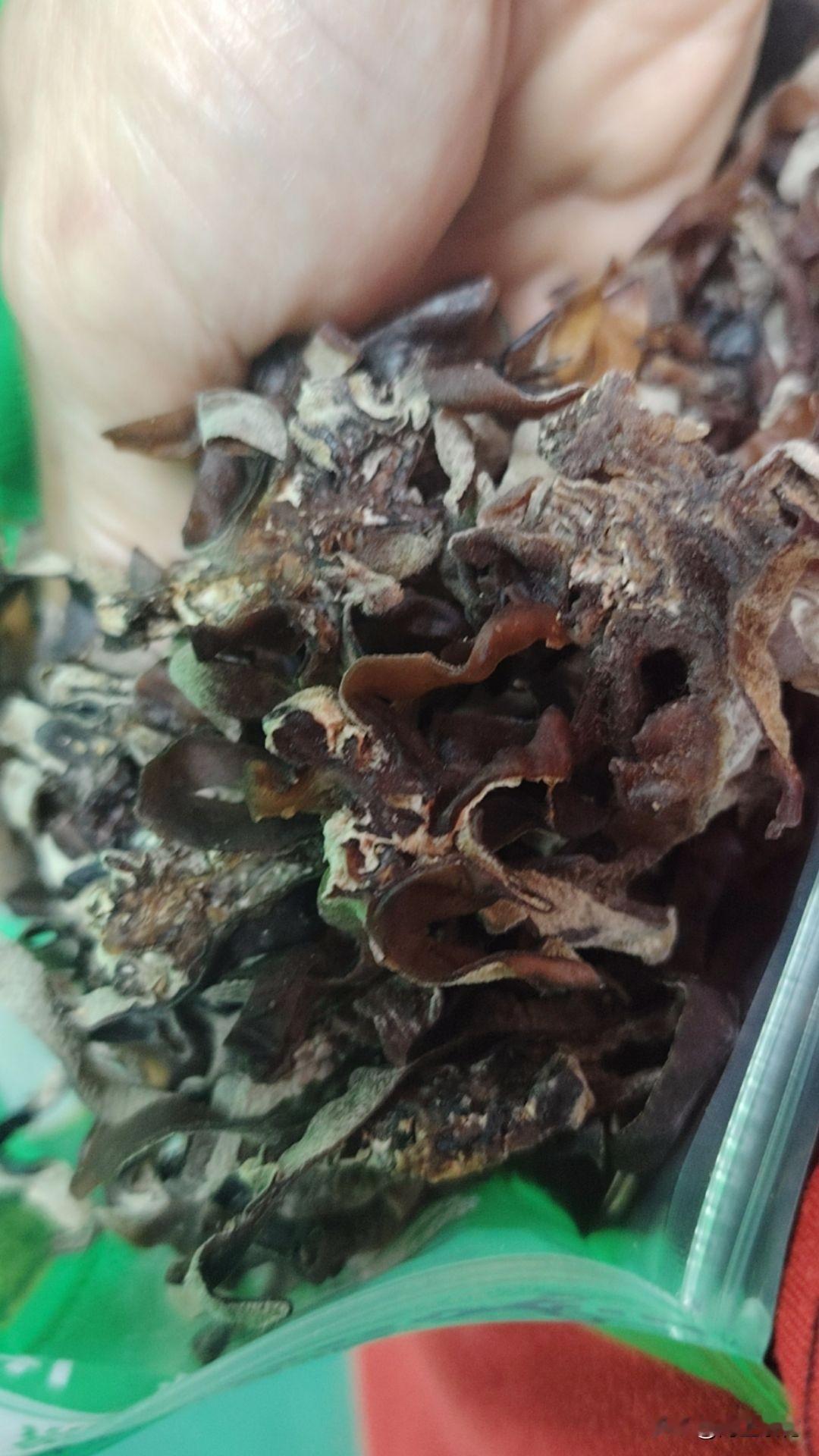 一个人一定要有自己的兴趣爱好，如果连自己的兴趣爱好都没有了，那生活还有什么意义呢