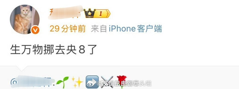 🍉杨幂的生万物之前在央一的储备单里面现在从央1挪到央8央1的cvb更好对演员好