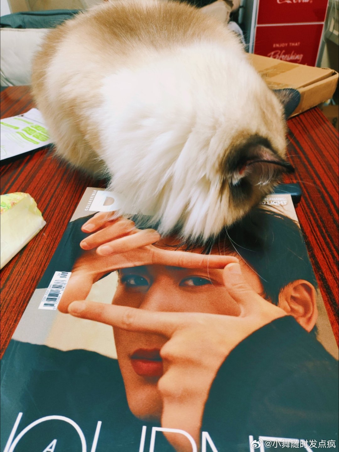 终于收到了最后一套dry，辛苦cross小猫咪也在为我老婆的美貌着迷～ 