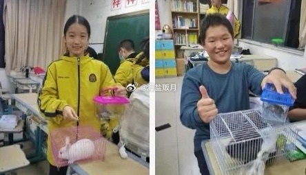 一代人有一代人的奖品单不是谁的快乐更高级，只是时代给了我们不同的礼物。一代人一张