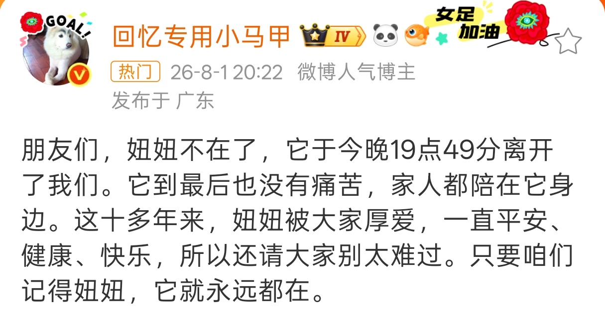 回忆专用小马甲的小狗妞妞去世大家还记得这个狗狗吗？我也是关注了4000多天了，1