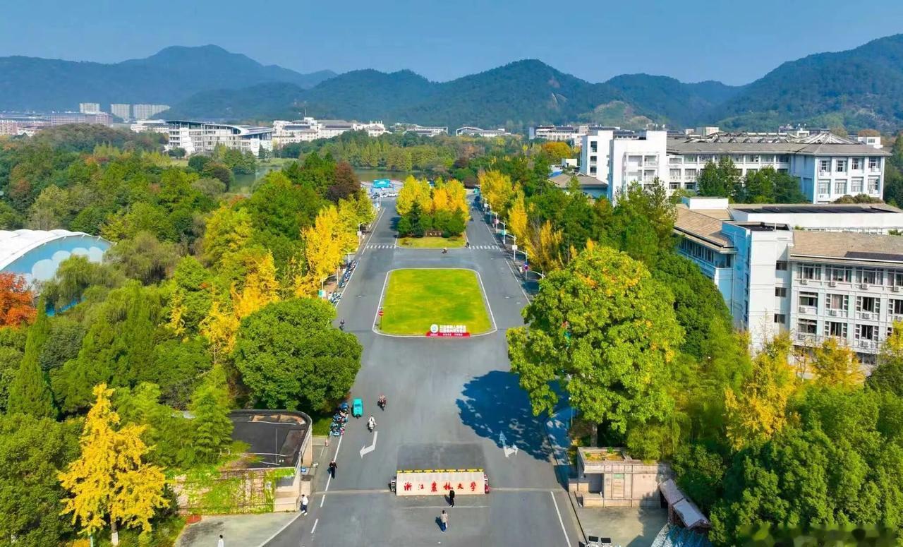 浙农林打翻了冬日调色盘[期待]浙江高校的限定冬日颜值北风渐紧，杭州正式入冬，而浙
