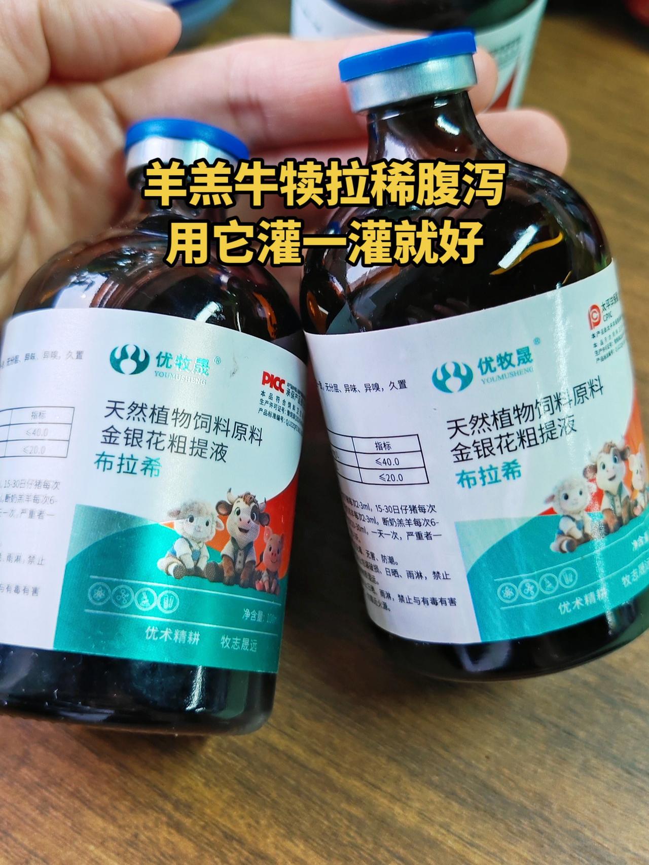 养羊人 农村养羊 牛羊养殖