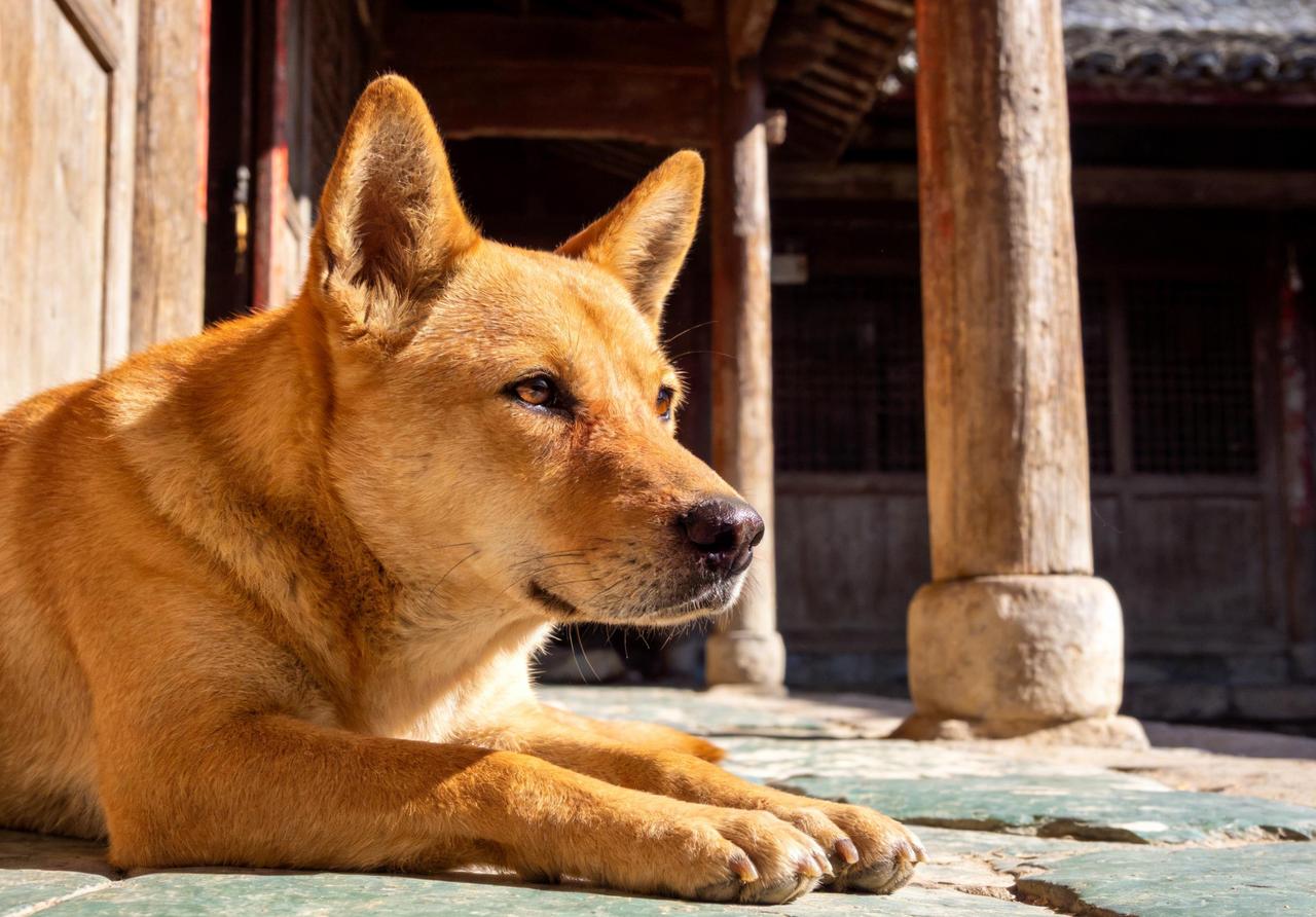 人性现实，看透就好
 
人再饿，别吃冰，寒心伤身；人再穷，莫求人，卑微伤骨。
养