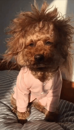 [捂脸][捂脸][捂脸]
哈哈哈，干服务行业真的是拿着命在干。
晚上处理一个售后