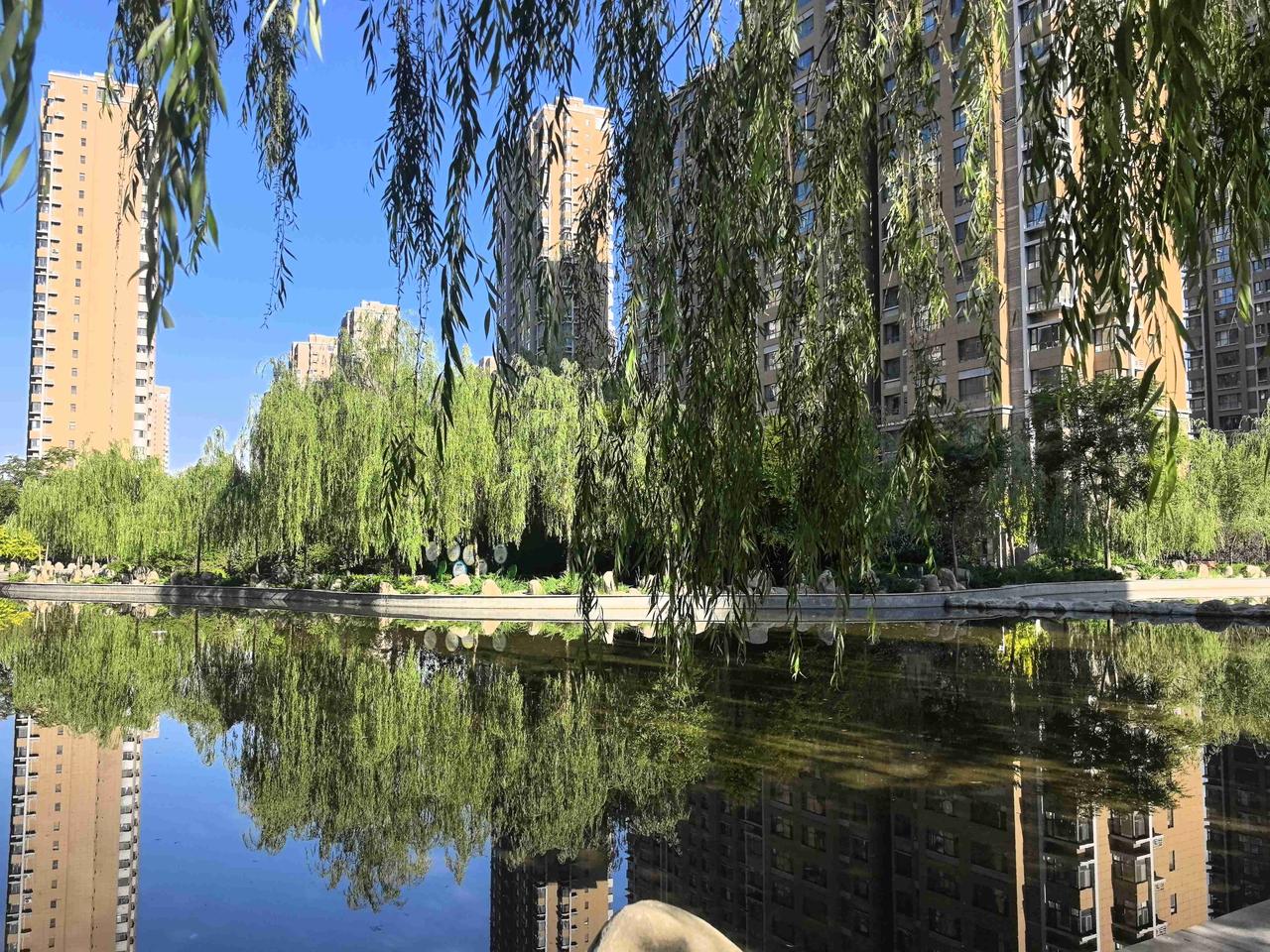 我的今日状态：😁轻松愉快
我这里的天气：☀️晴天