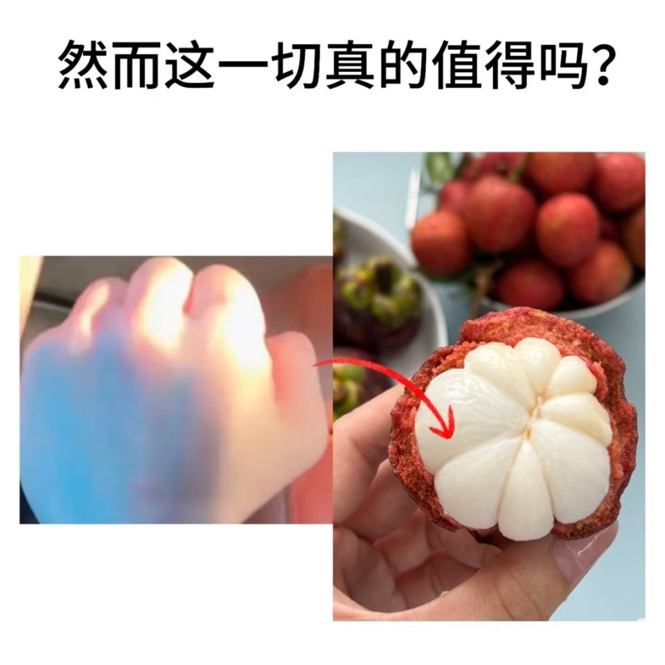 我被第三张小猫爪子萌的吱哇乱叫和苏新皓共赴浪漫之约 .这个春天和苏新皓一起温柔陪