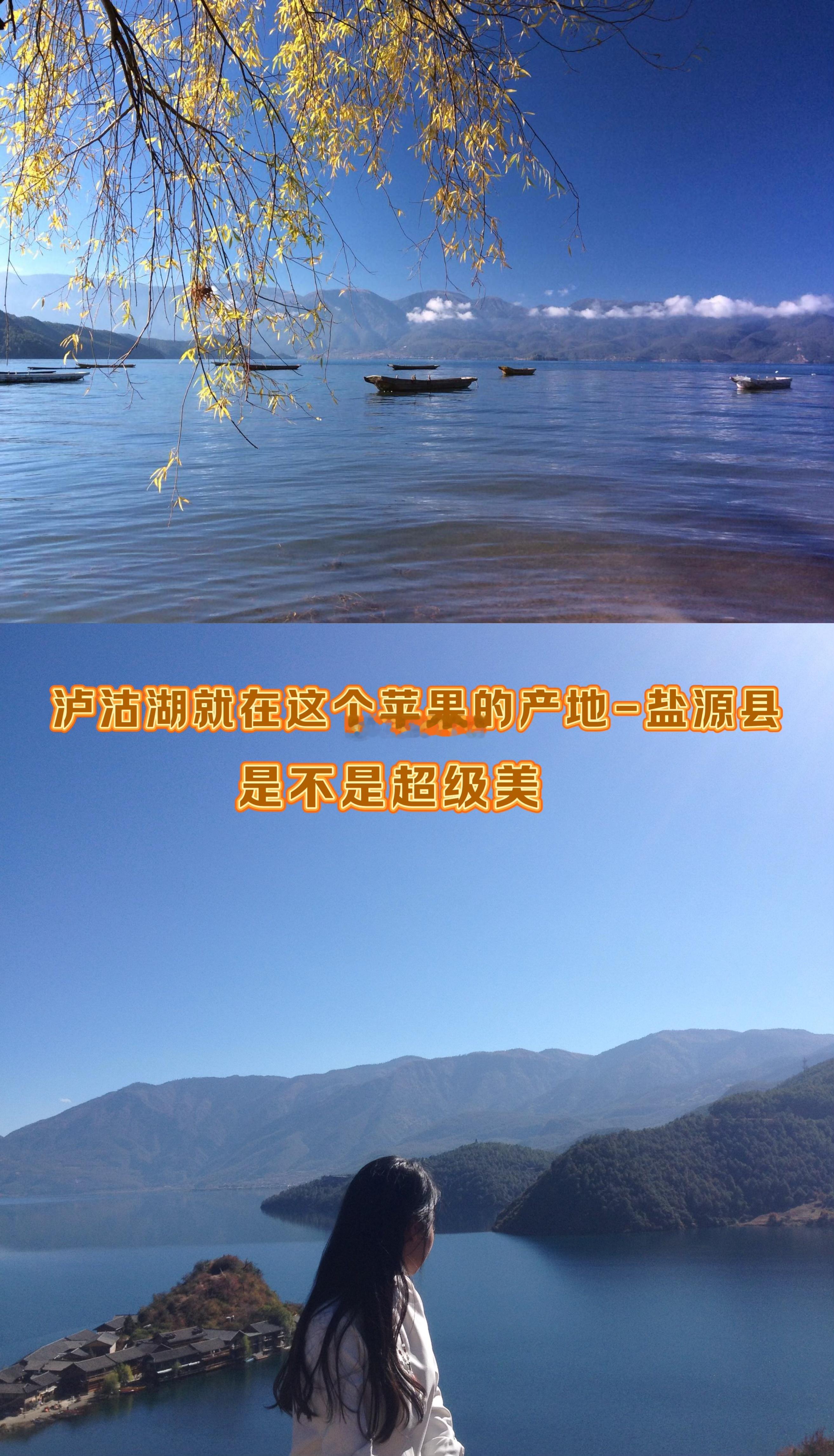 说实话，本来真没打算再给大家上苹果了——大妈水果摊上已经有“秦脆”和“洛川红富士