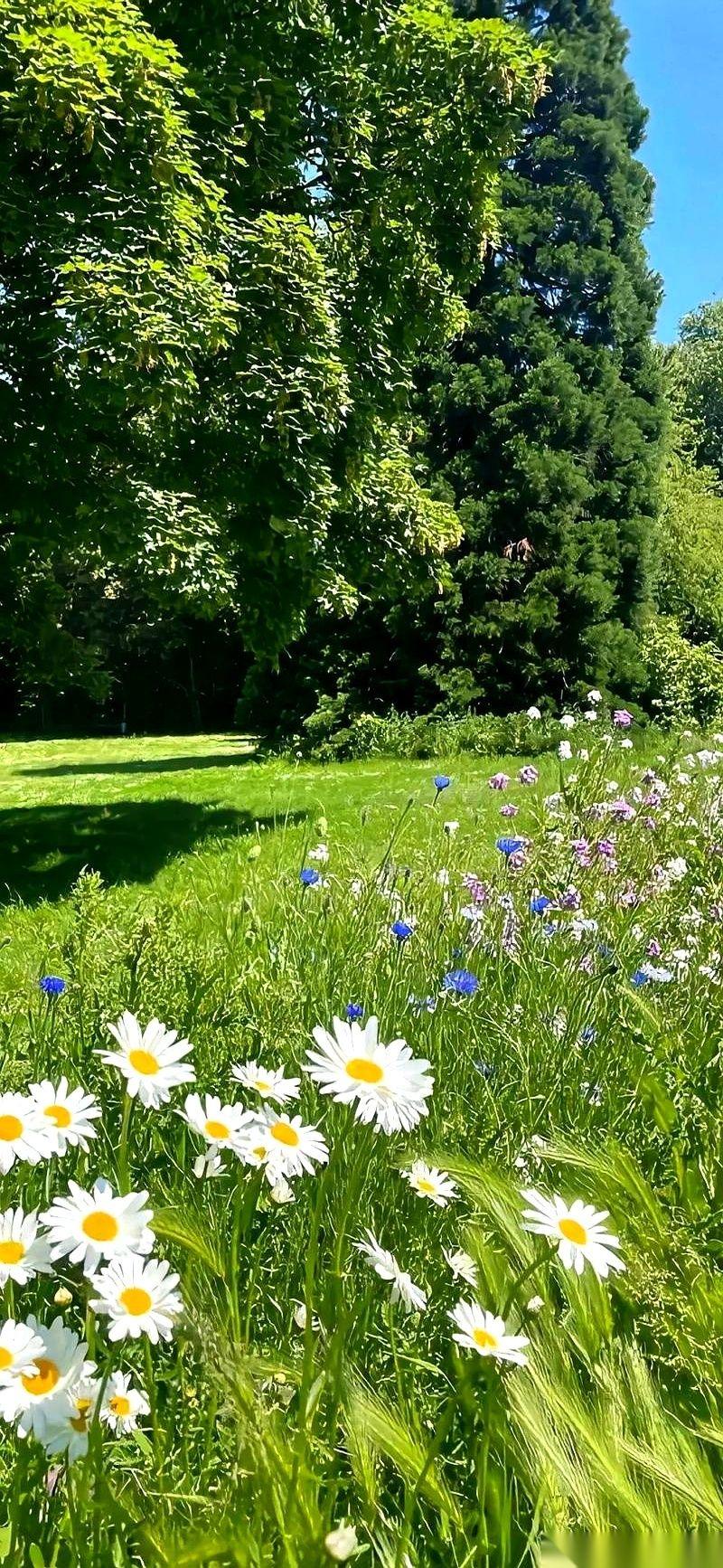 “小王，周六公司团建，一个都不能少啊。”老板拍着我的肩膀，笑得像个弥勒佛，但话里