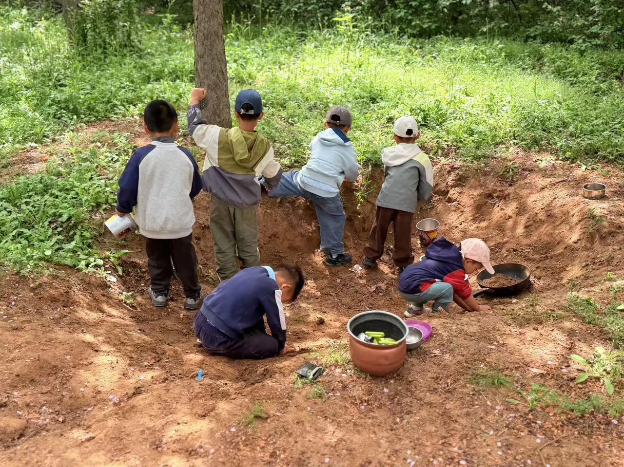 在一片广袤沙漠里，有一片神奇的绿洲。这里住着一群幼儿园的孩子们，他们就像绿洲里灵